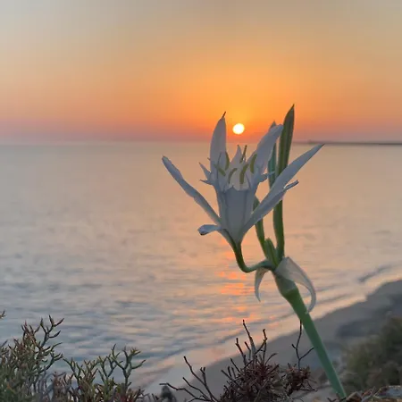 Le Mansarde - At Sunset *